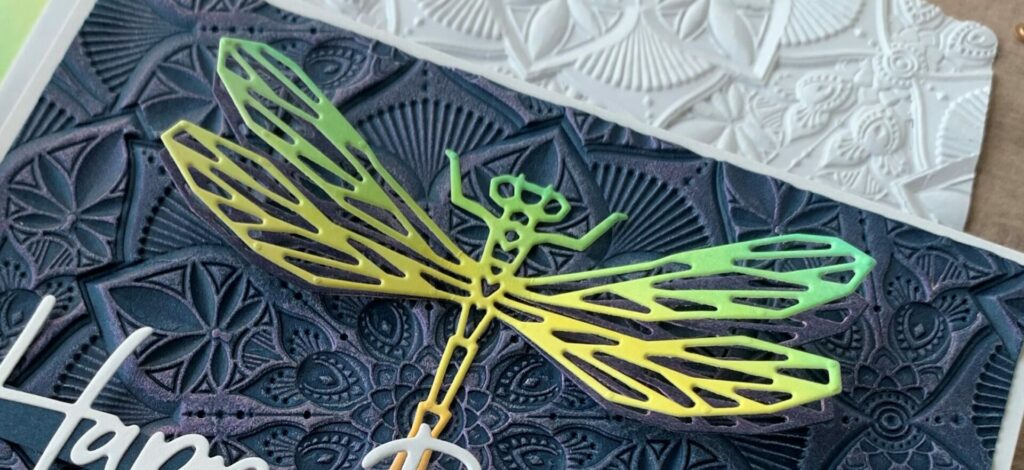 Dragonfly wings closeup