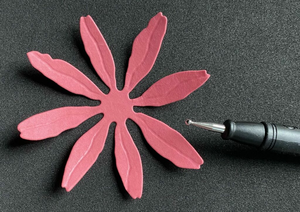 Shaping the Daisy Flower