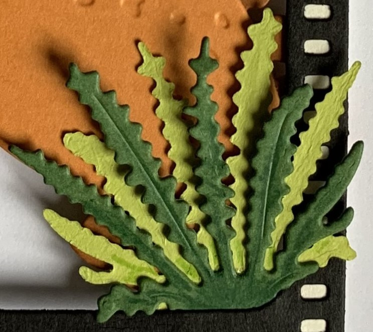 Fern foliage