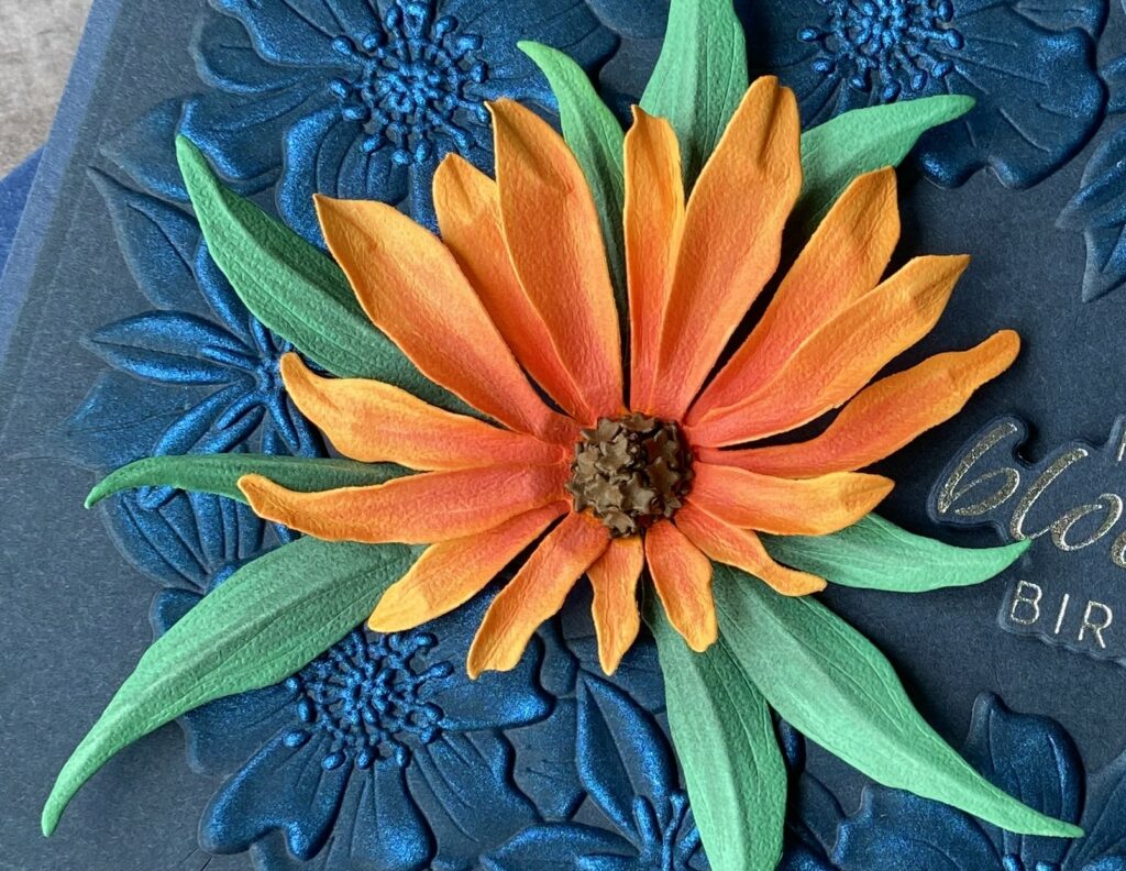 Echinacea Flower