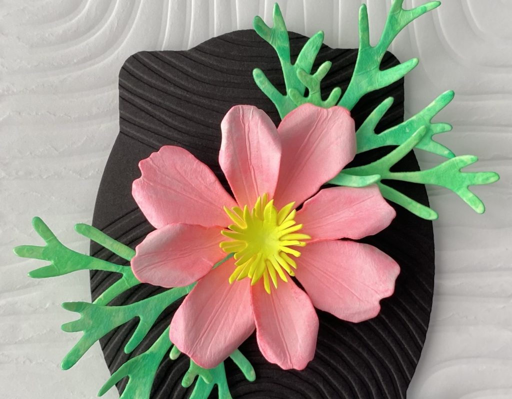 Cosmos flower