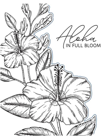 Press & Foil of the Month – Hibiscus Bloom