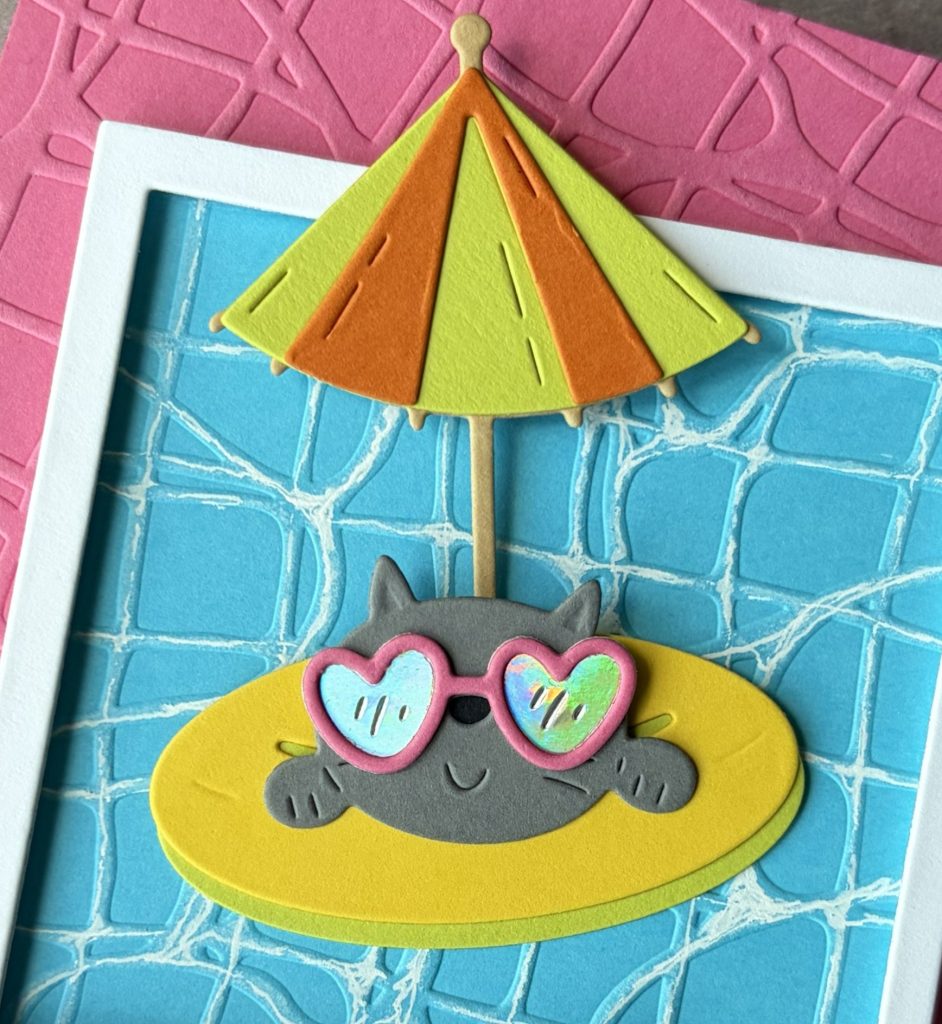 Poolside cat