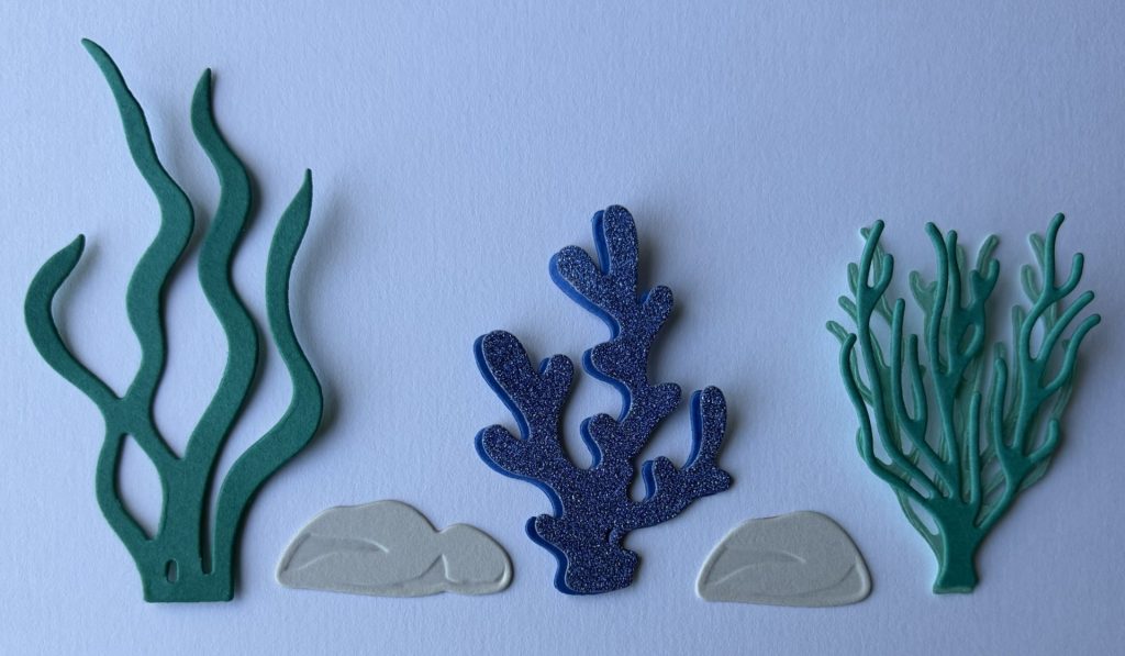 Underwater Tunnel - Coral die-cuts