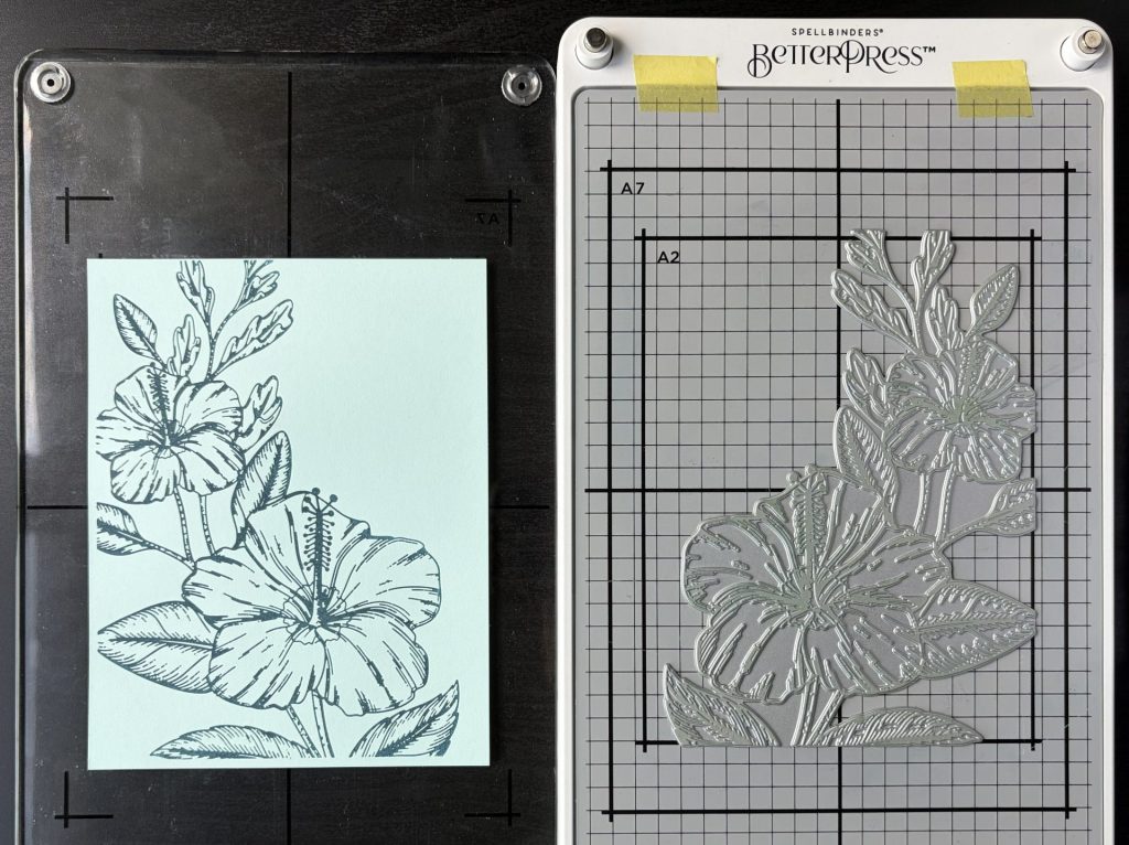 Pressed Hibiscus Bloom