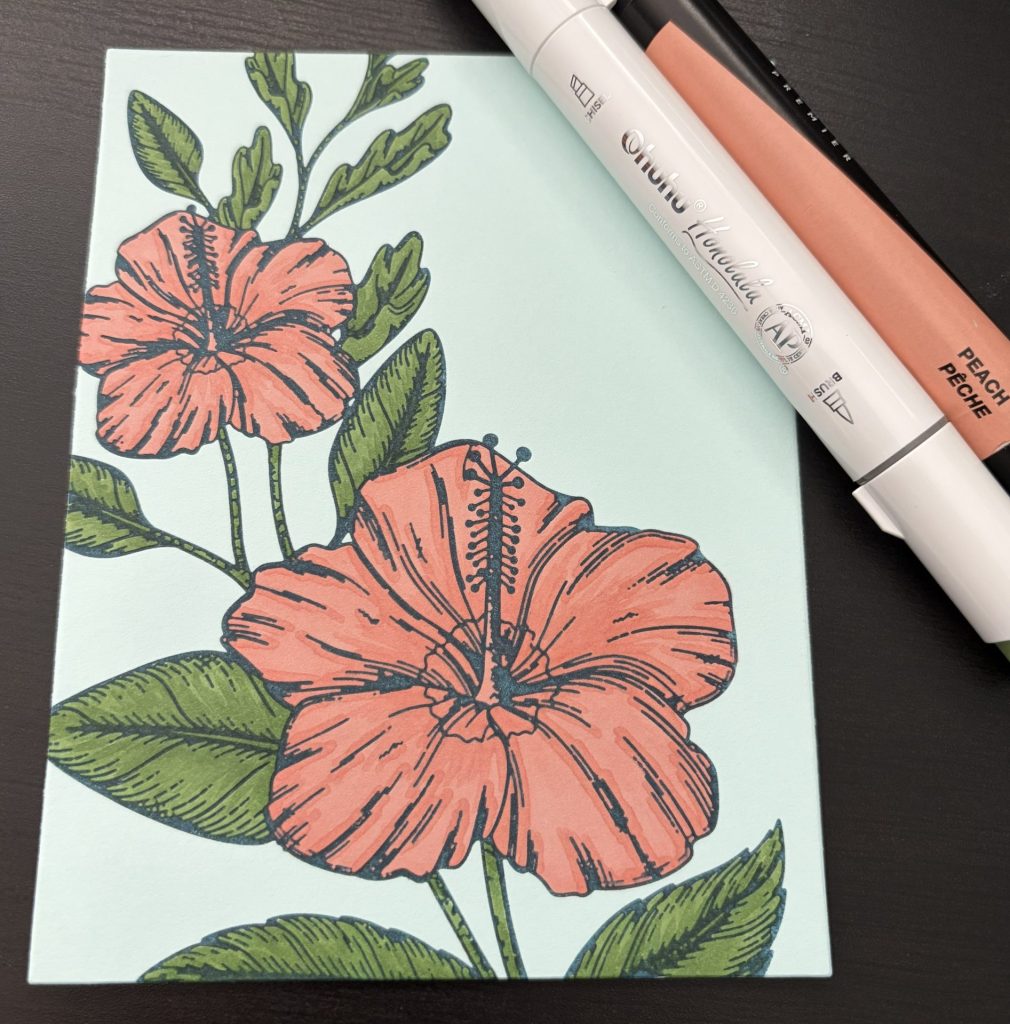 Colored Hibiscus Bloom with markers