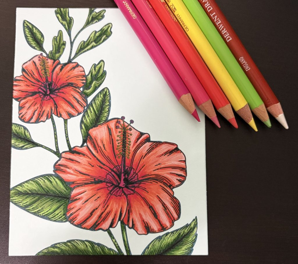 Colored Hibiscus Bloom with pencils