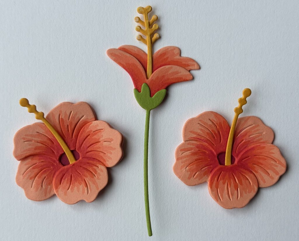 Tropical Blooms - Hibiscus Flower die-cuts